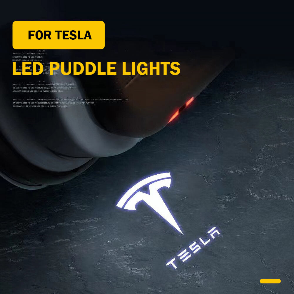 LED Logo Tesla Puddle Lights 2pcs/4pcs for Model 3/Y/S/X