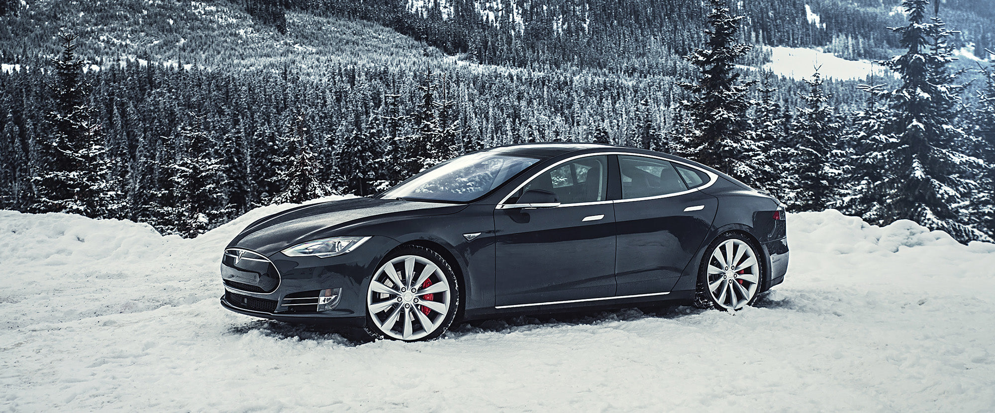MODEL S - Tlyard