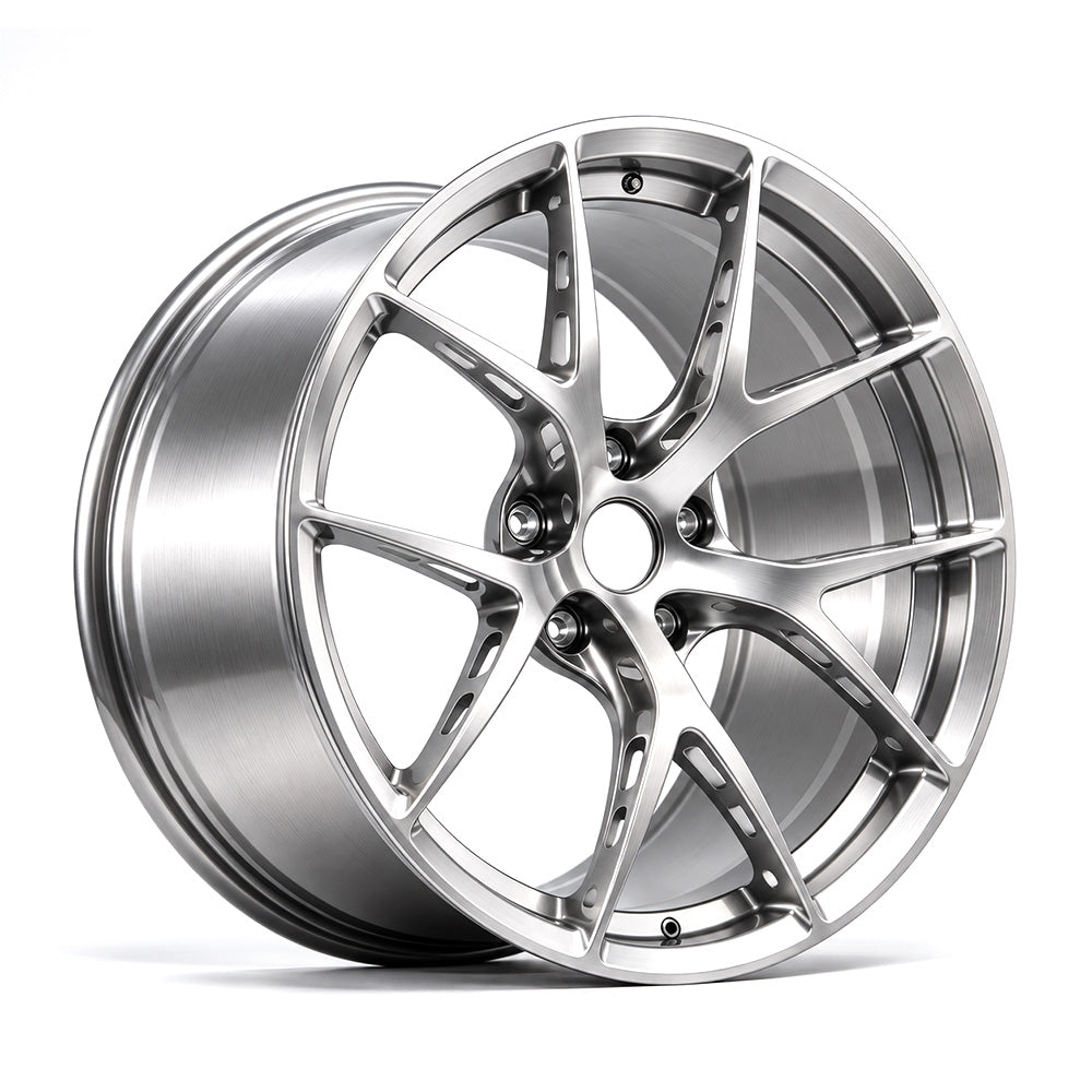 Brushed Silver TLS-08 forged wheel for Tesla Model X and Model S