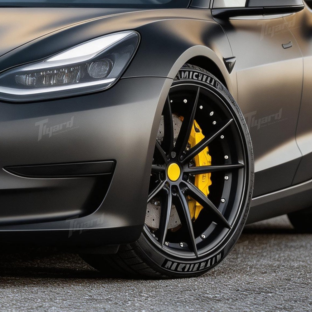 Model X/S 19