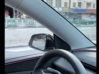 Model Y/Y Juniper LED Side Mirror Lights Turn Signal Side Mirror Cover Lights | Tlyard