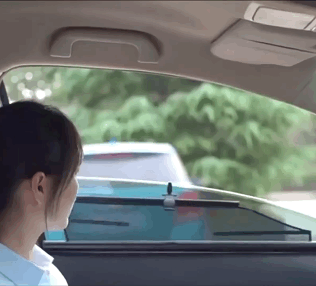 Retractable Side Window Privacy Sunshades for Tesla Model 3/Y/X/S Heat Insulation Curtains Set | Tlyard