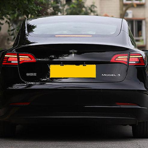 Dynamic Car LED Taillights Hawkeye Design For Tesla Model 3 & Y - Tlyard