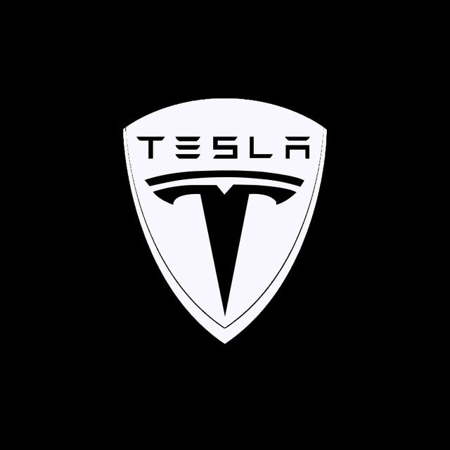 LED Tesla Logo Puddle Lights Car Door Lights For Model 3/ Y/ X/ S Model 3 Highland